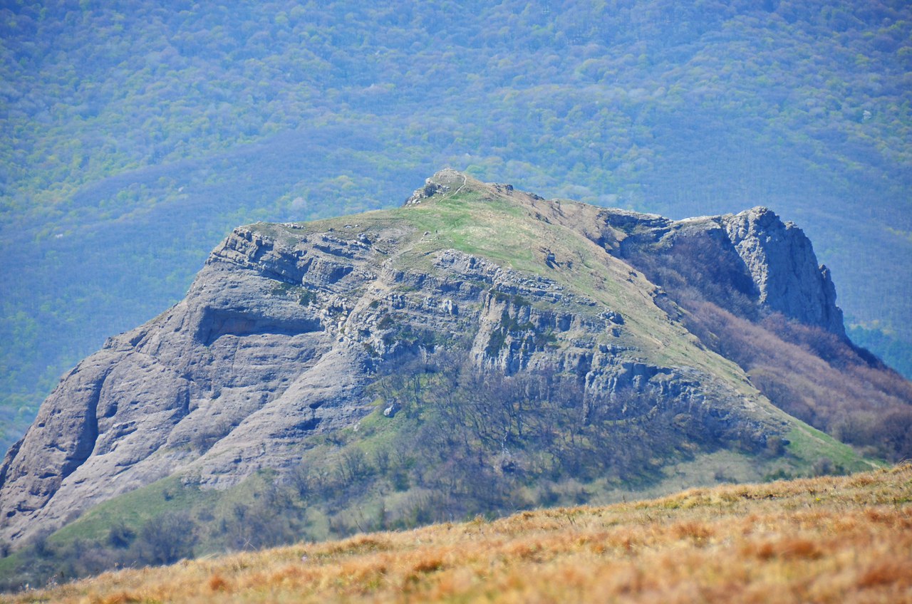 Чайная беседка