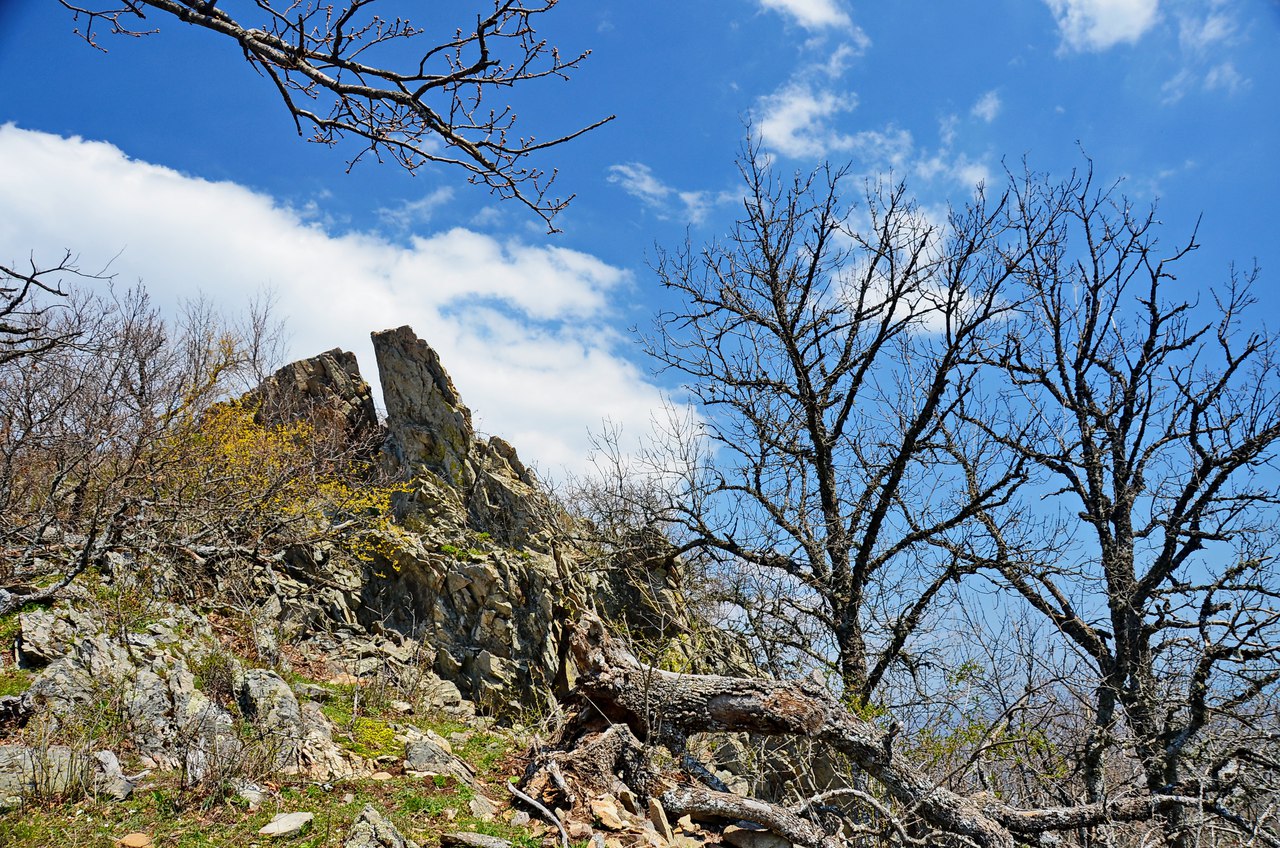 Чайная беседка