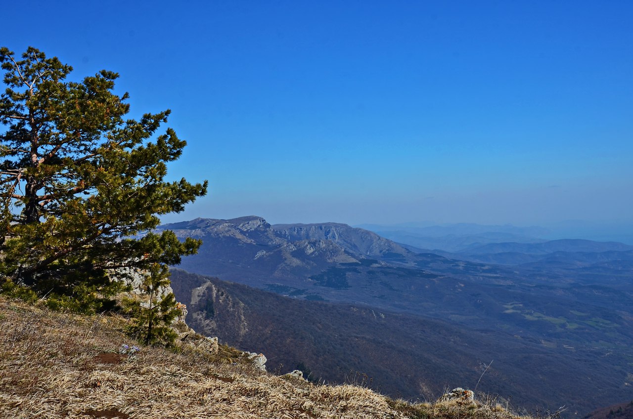 Чайная беседка