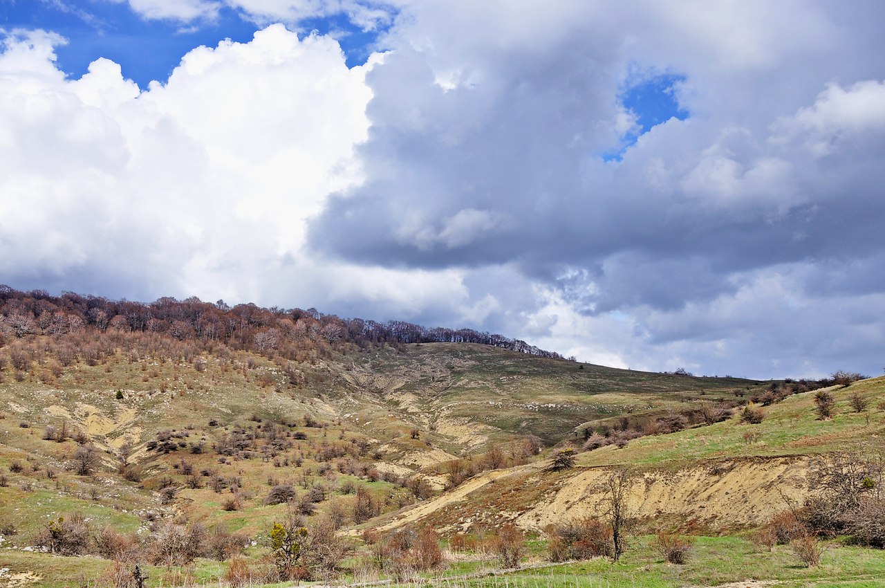 Чайная беседка