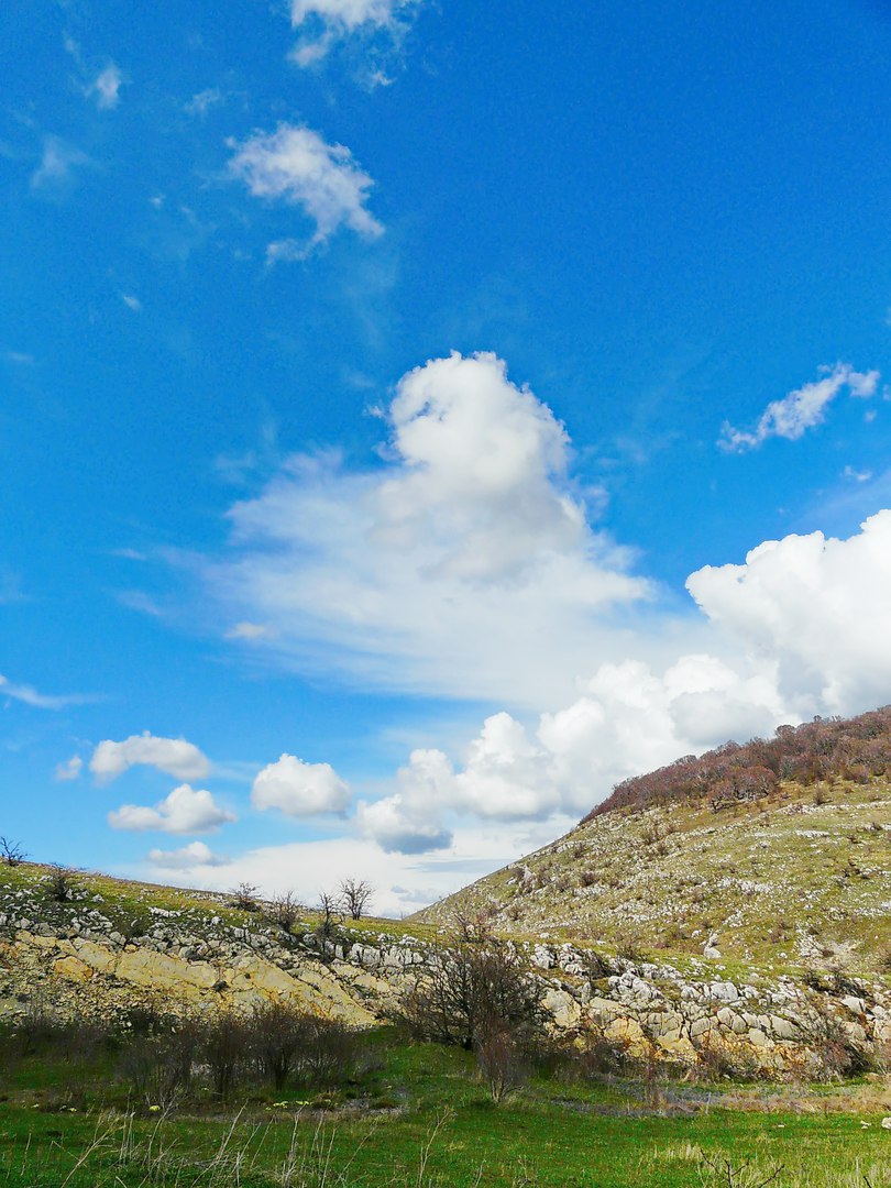 Чайная беседка