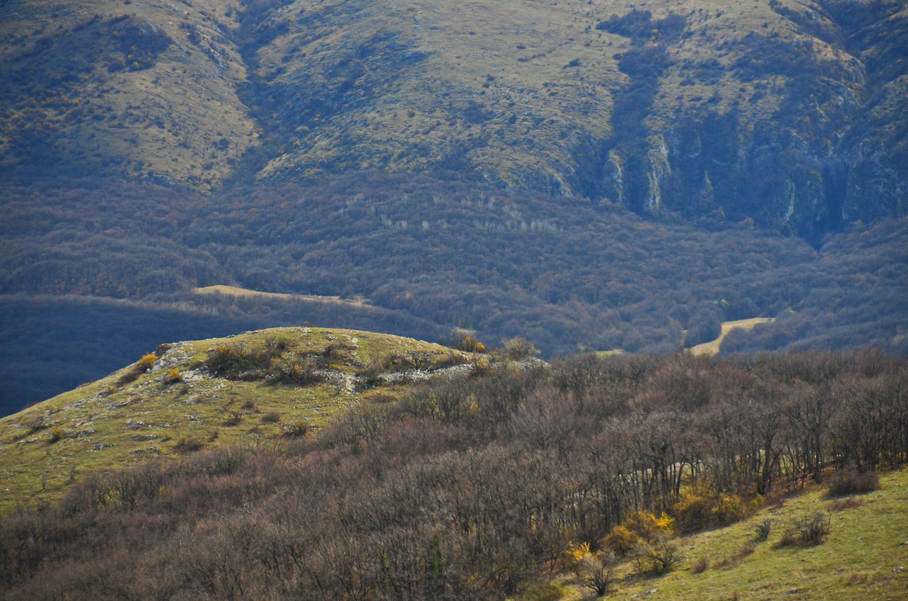 Чайная беседка