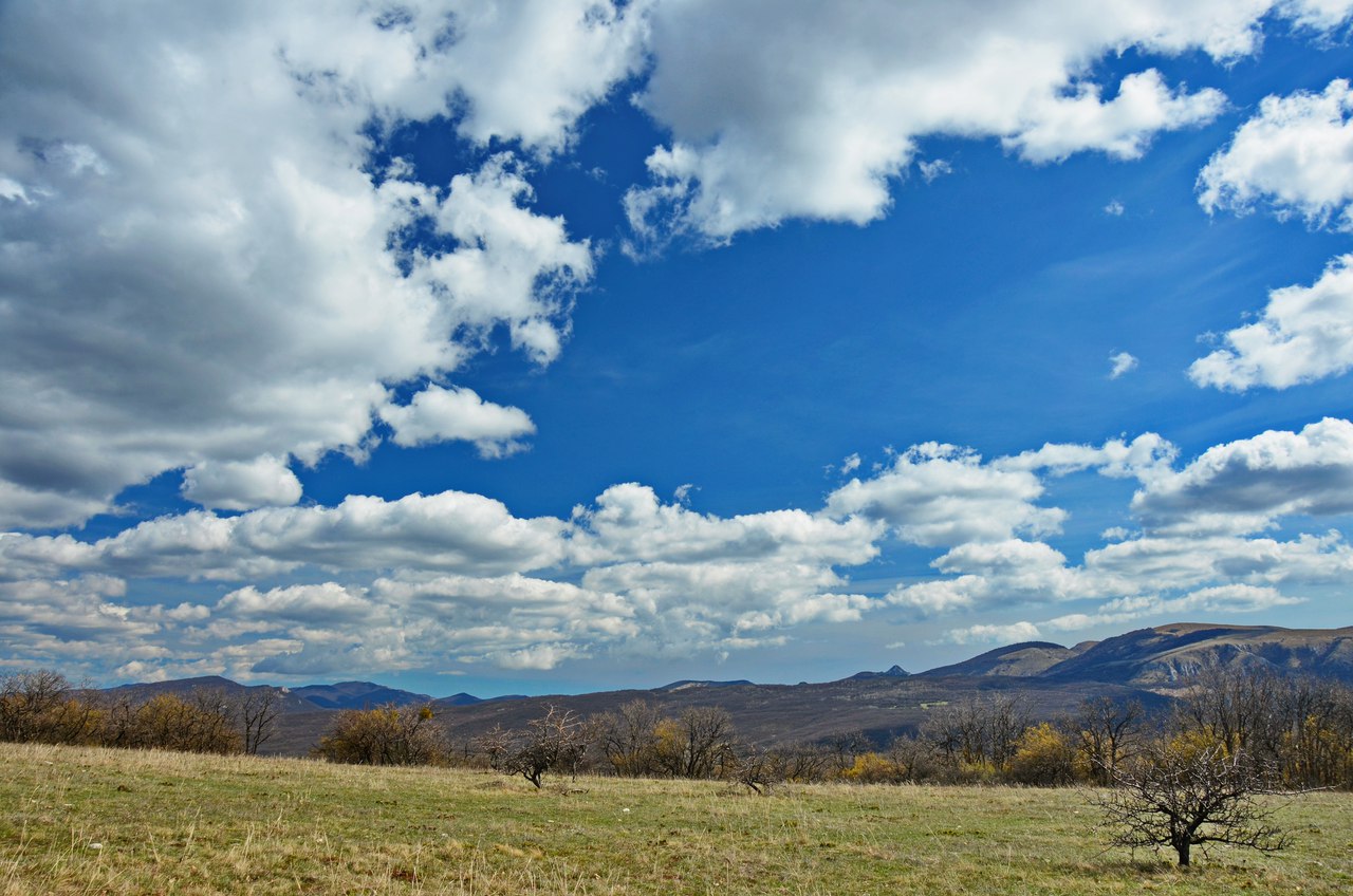 Чайная беседка