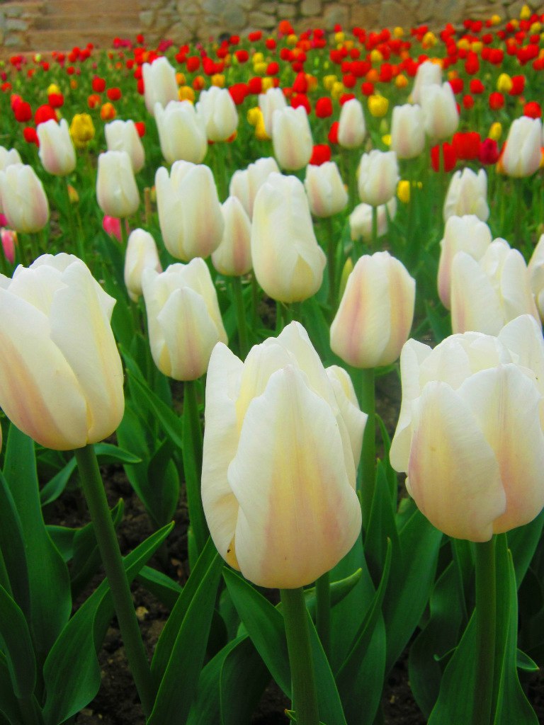 Чайная беседка