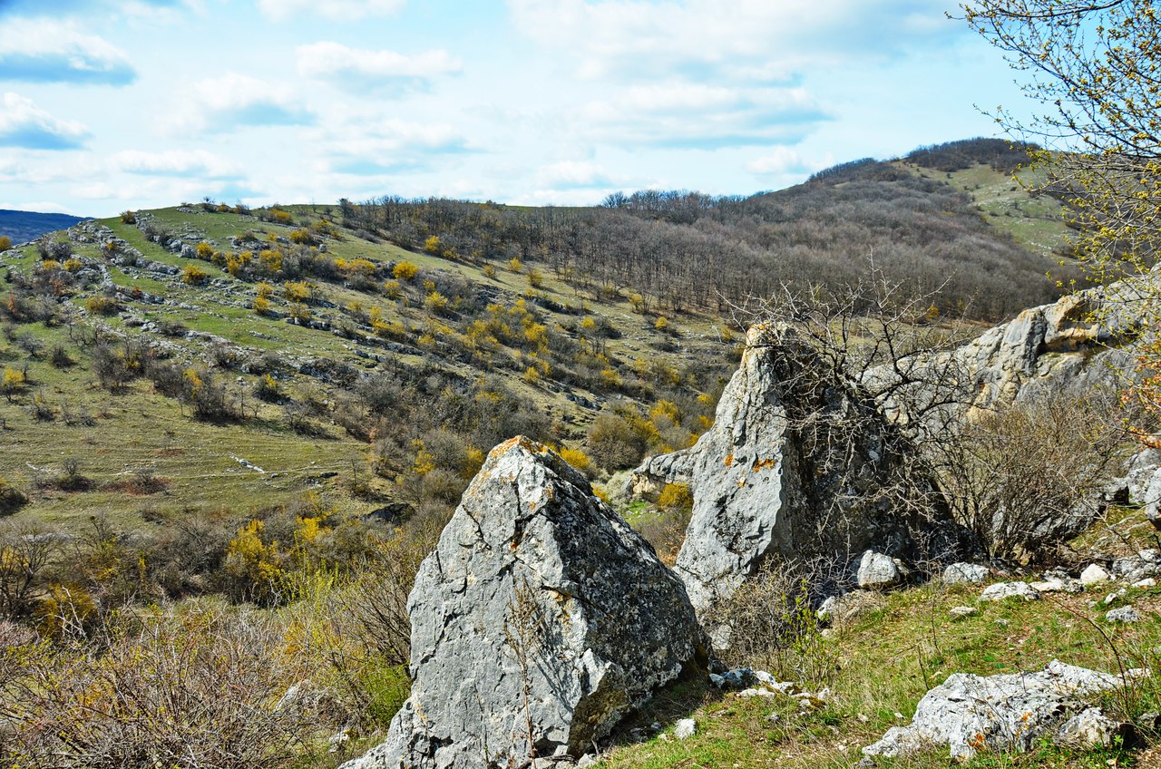 Чайная беседка