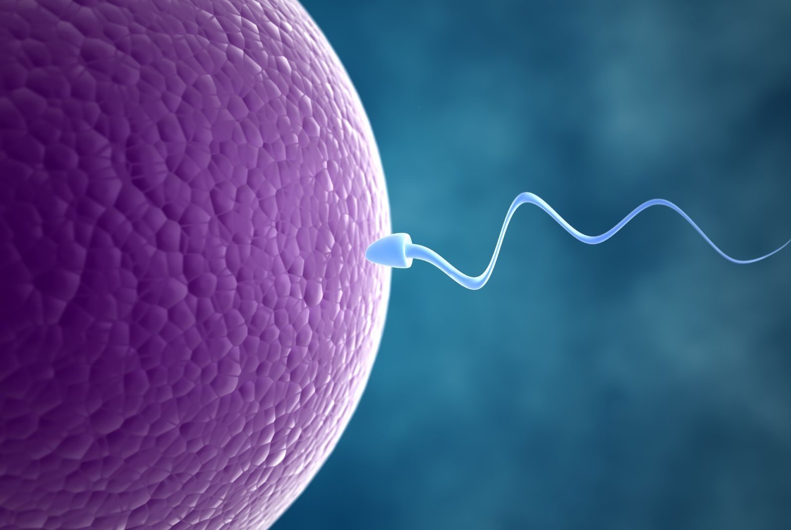 донор яйцеклетки последствия для донора