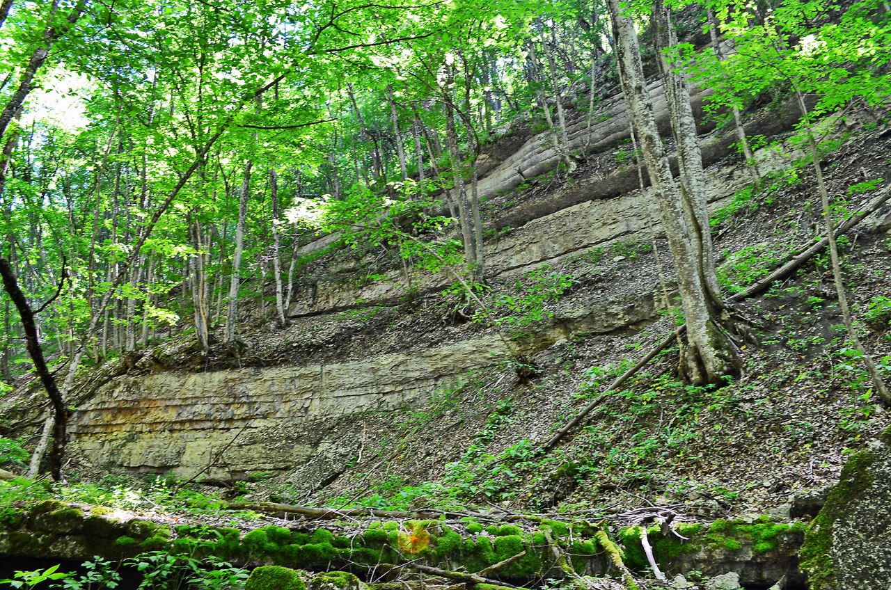 Чайная беседка