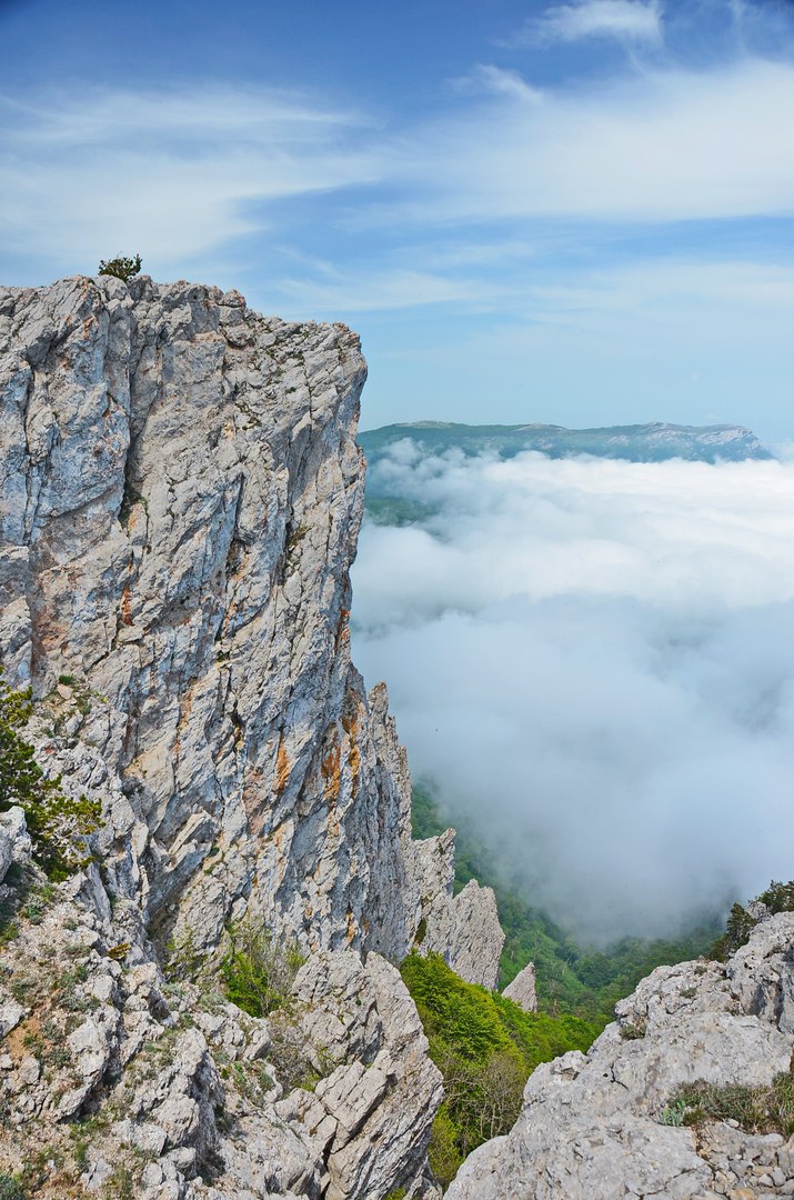 Чайная беседка