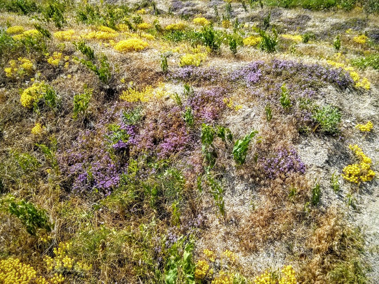 Чайная беседка