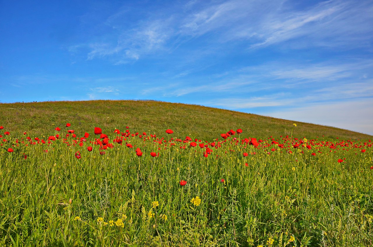 Чайная беседка