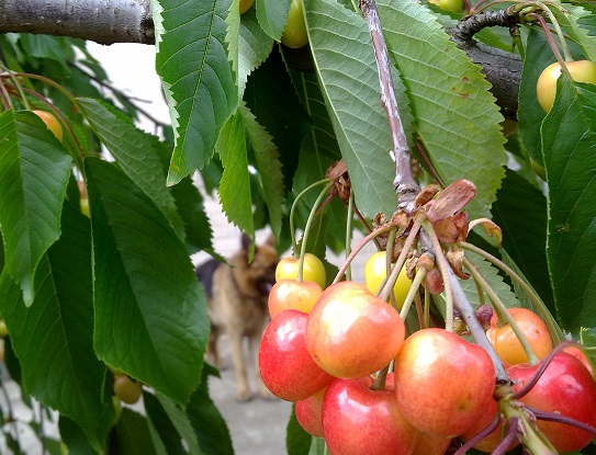 21052016468.jpg | Не добавлены