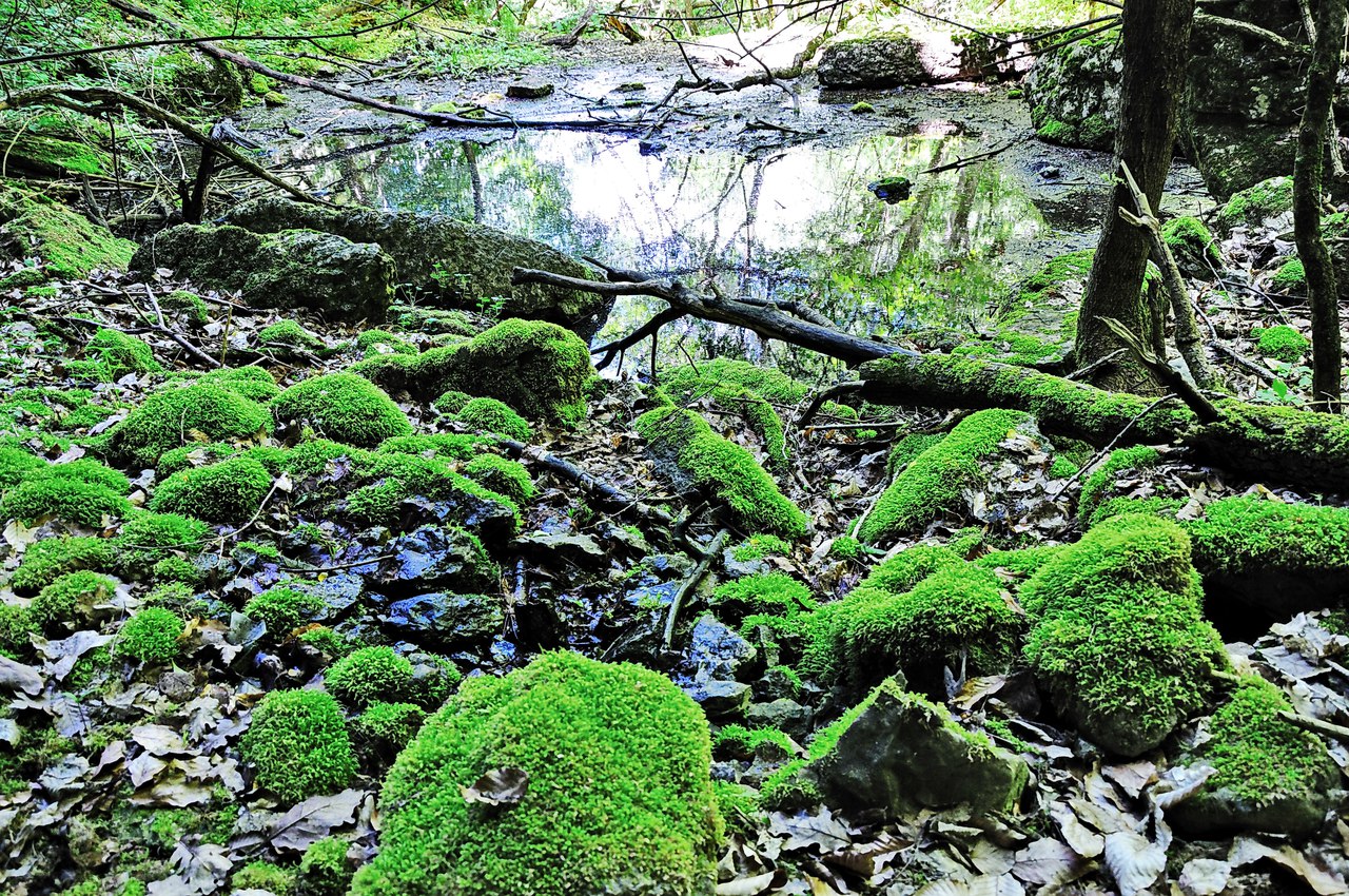 Чайная беседка