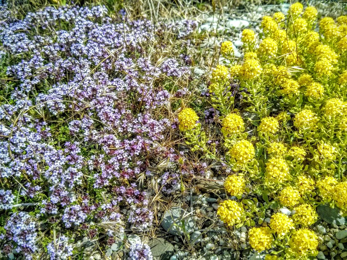 Чайная беседка