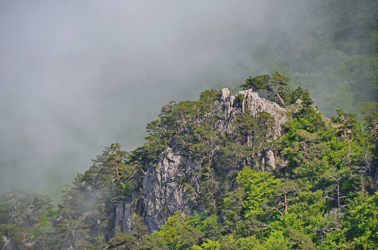 Чайная беседка