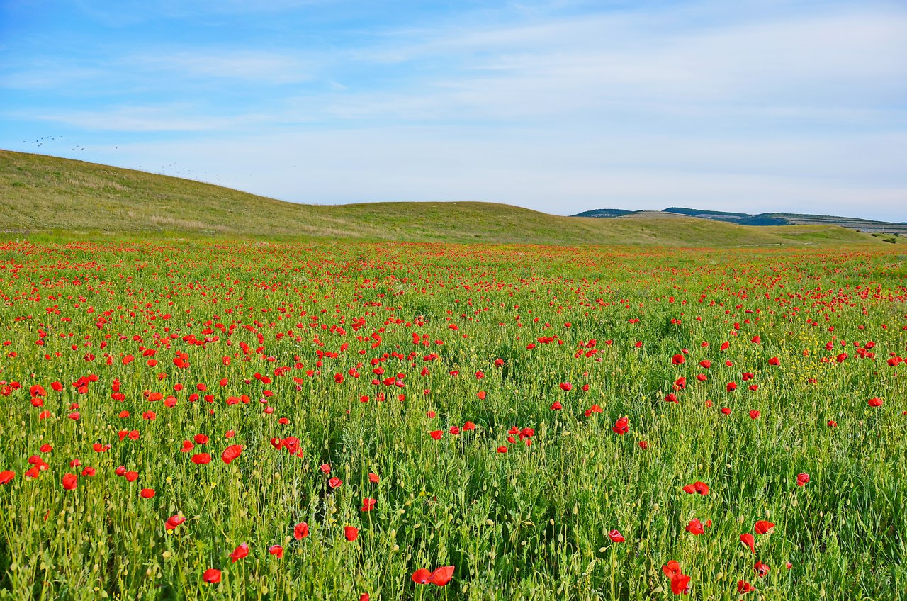 Чайная беседка