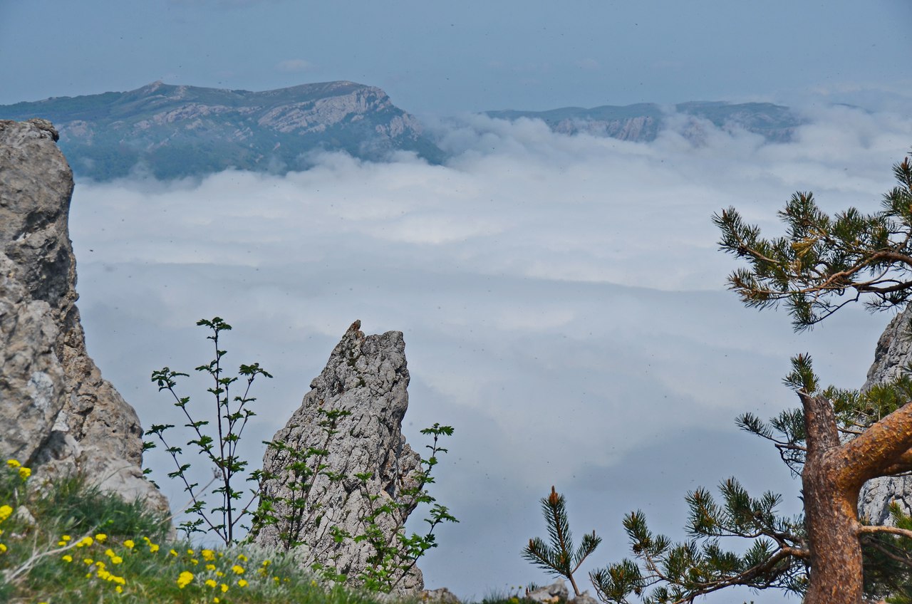 Чайная беседка