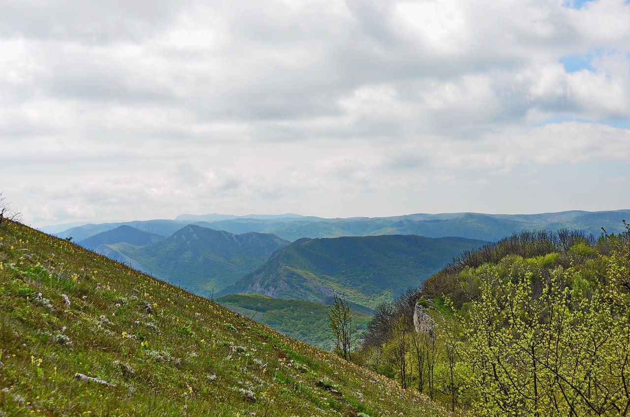 Чайная беседка