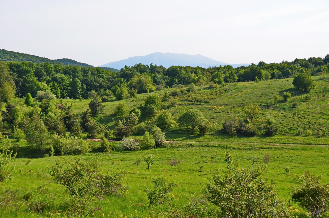 Чайная беседка