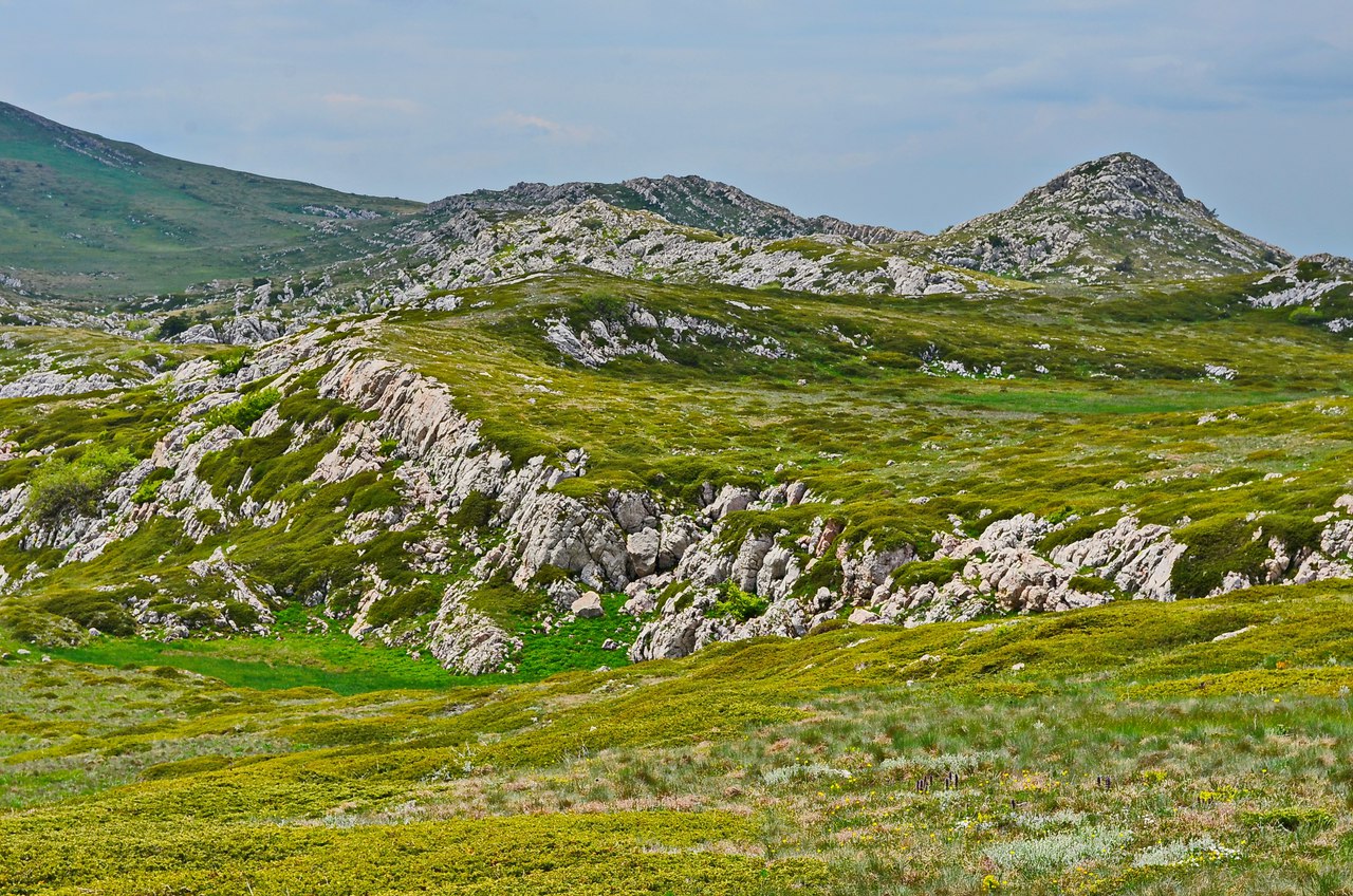 Чайная беседка