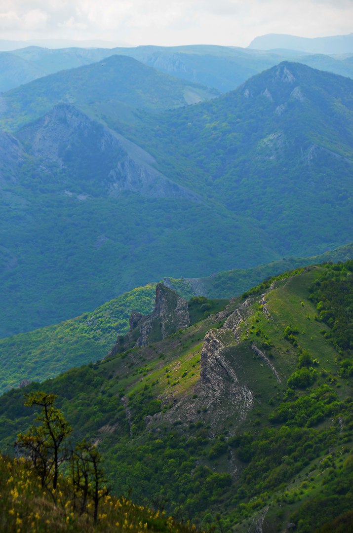 Чайная беседка