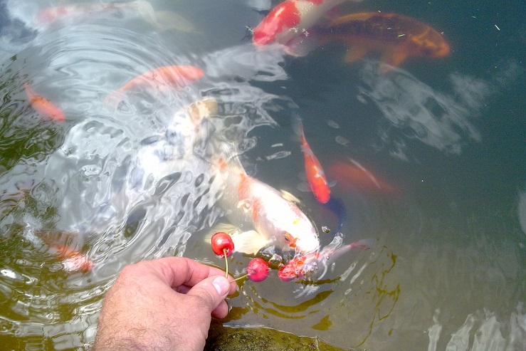 21052016475.jpg | Не добавлены