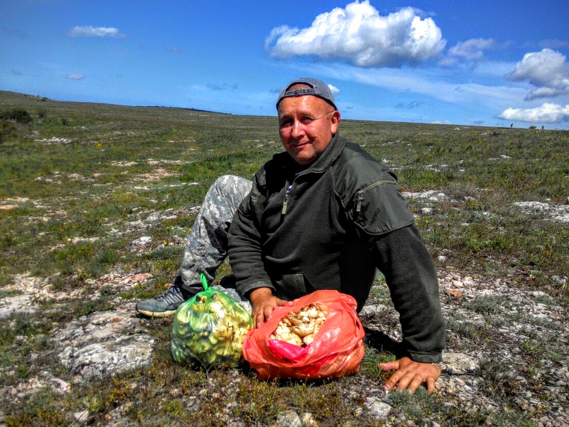 Чайная беседка