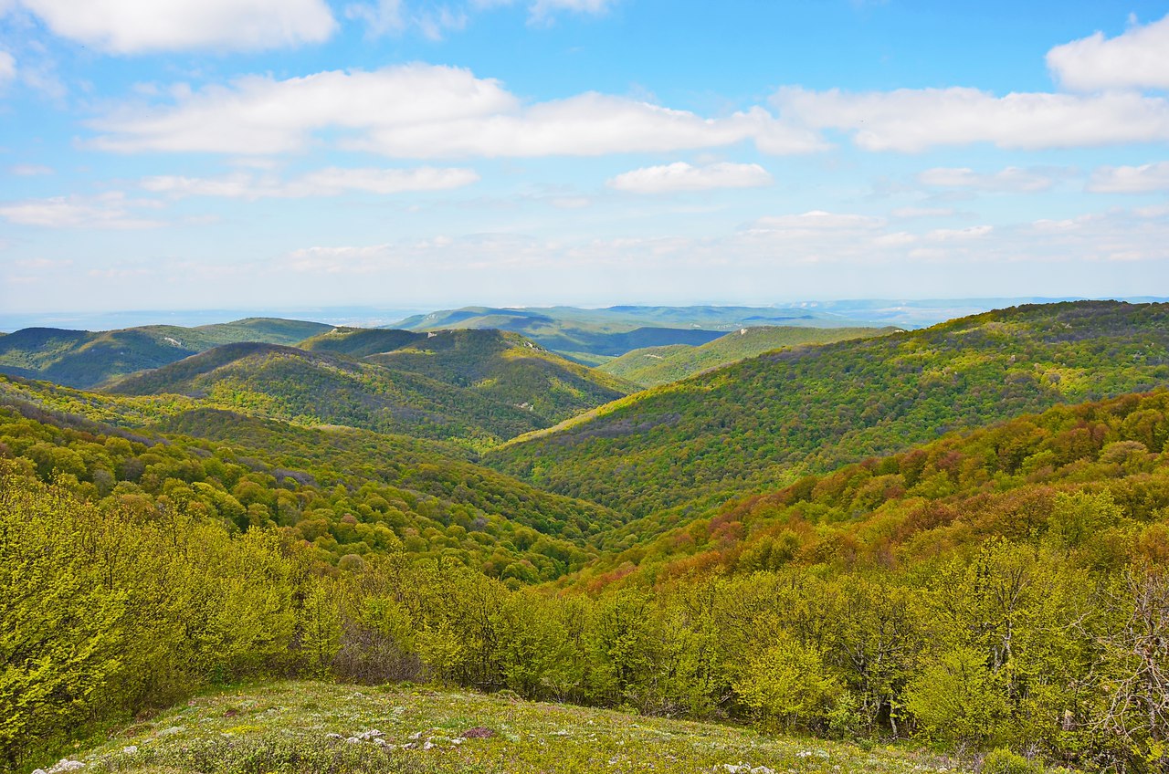 Чайная беседка