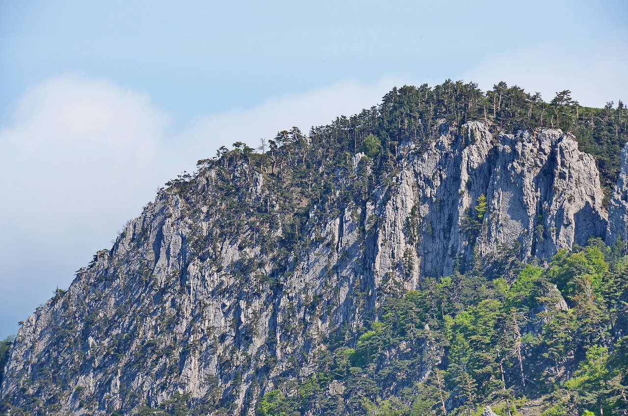 Чайная беседка