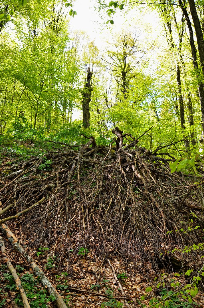 Чайная беседка