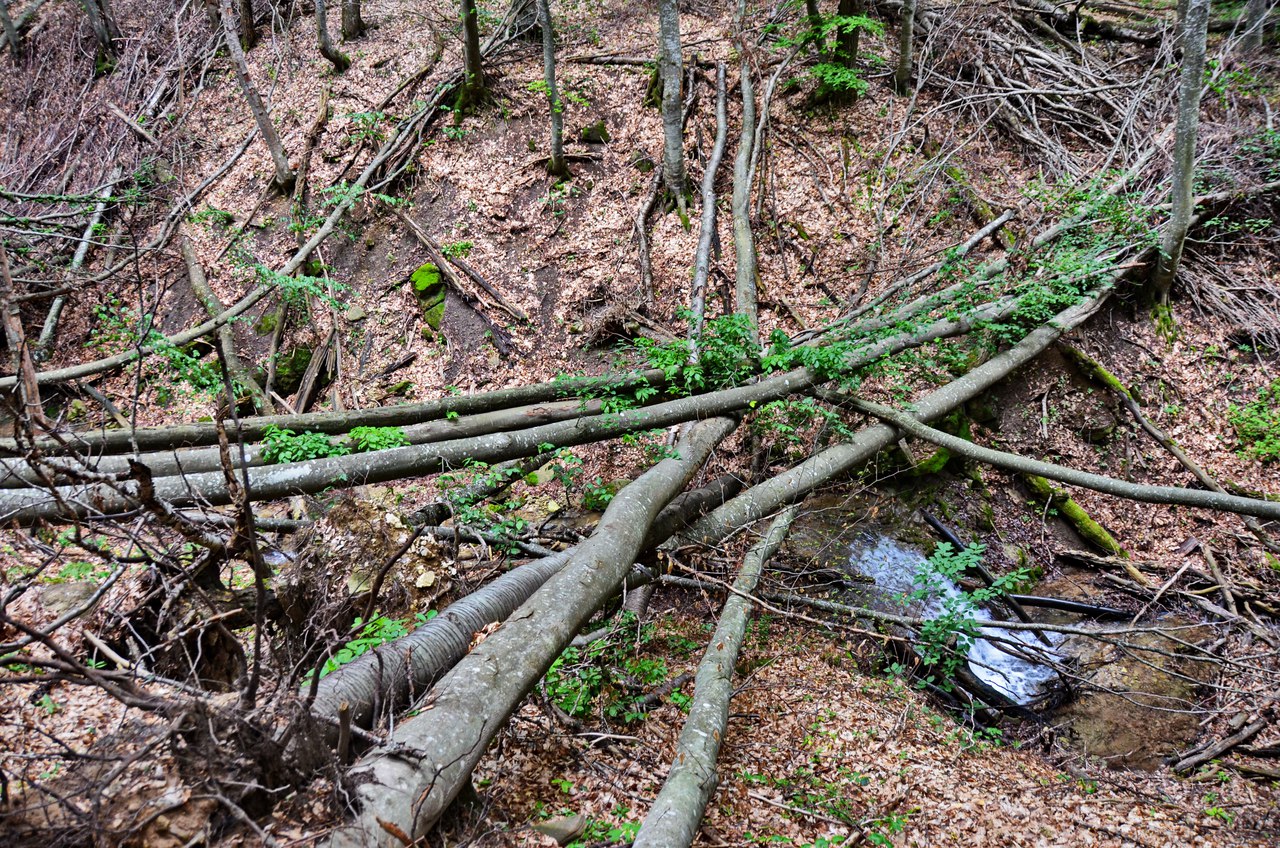 Чайная беседка