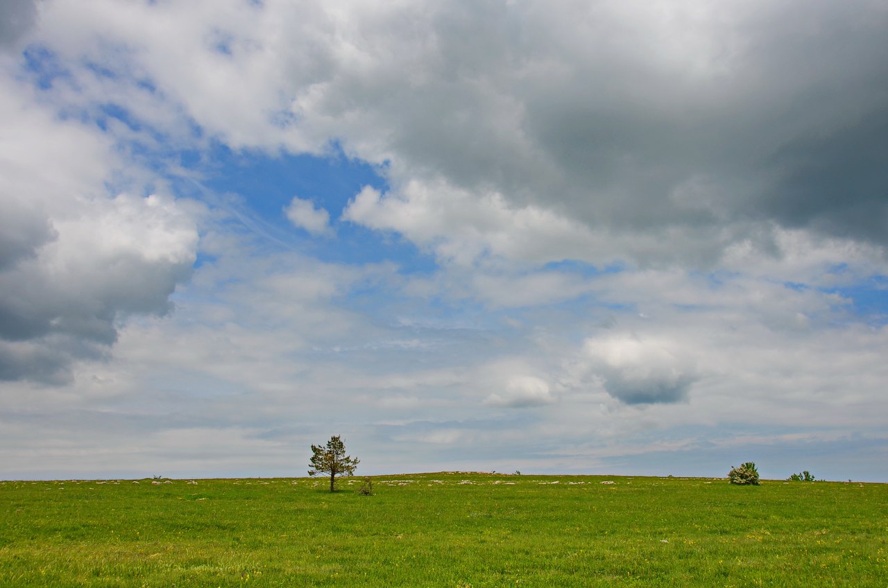Чайная беседка
