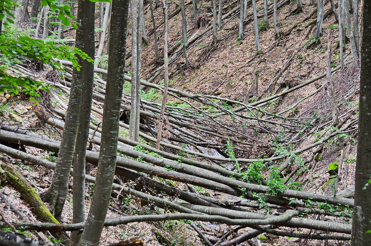 Чайная беседка