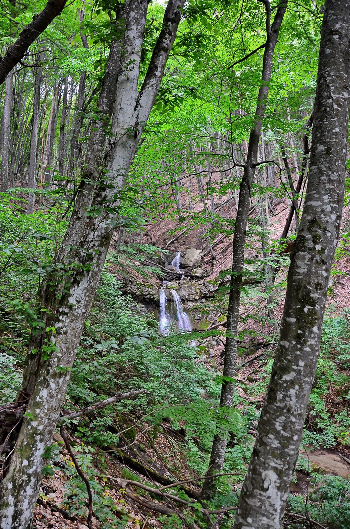 Чайная беседка