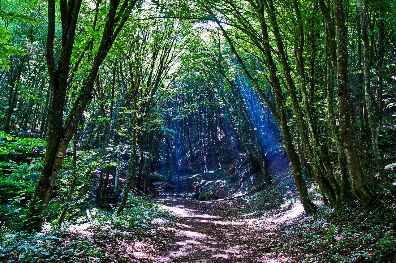 Чайная беседка