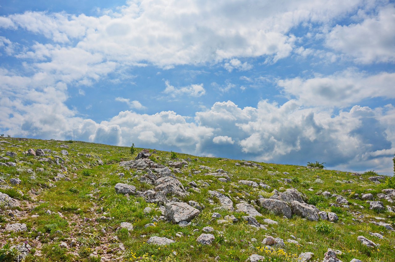 Чайная беседка