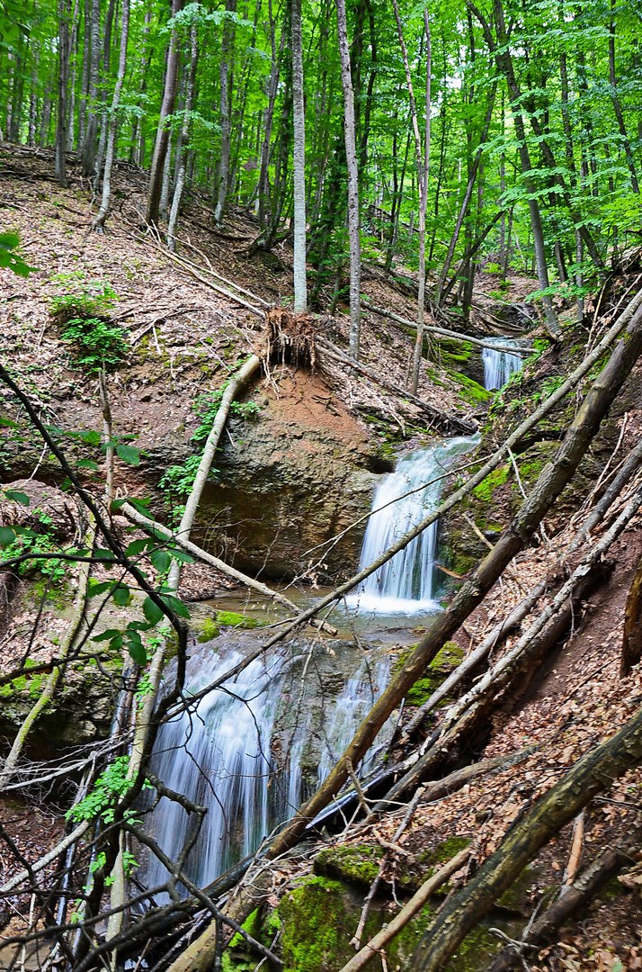 Чайная беседка