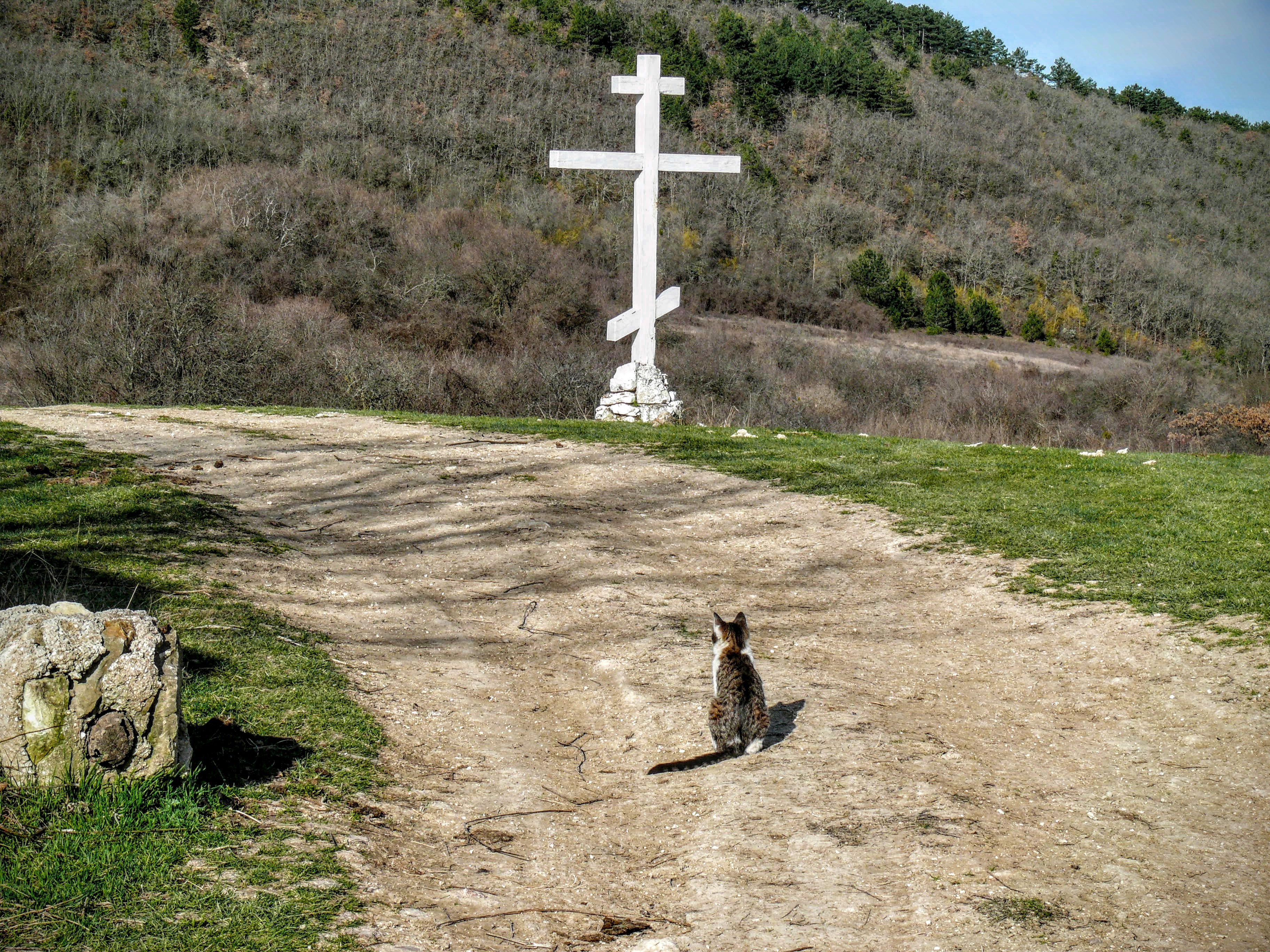 Чайная беседка