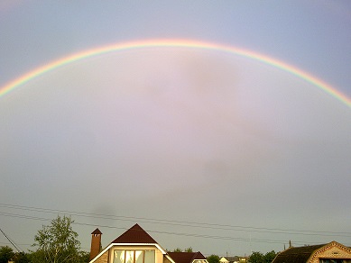 06062016498.jpg | Не добавлены