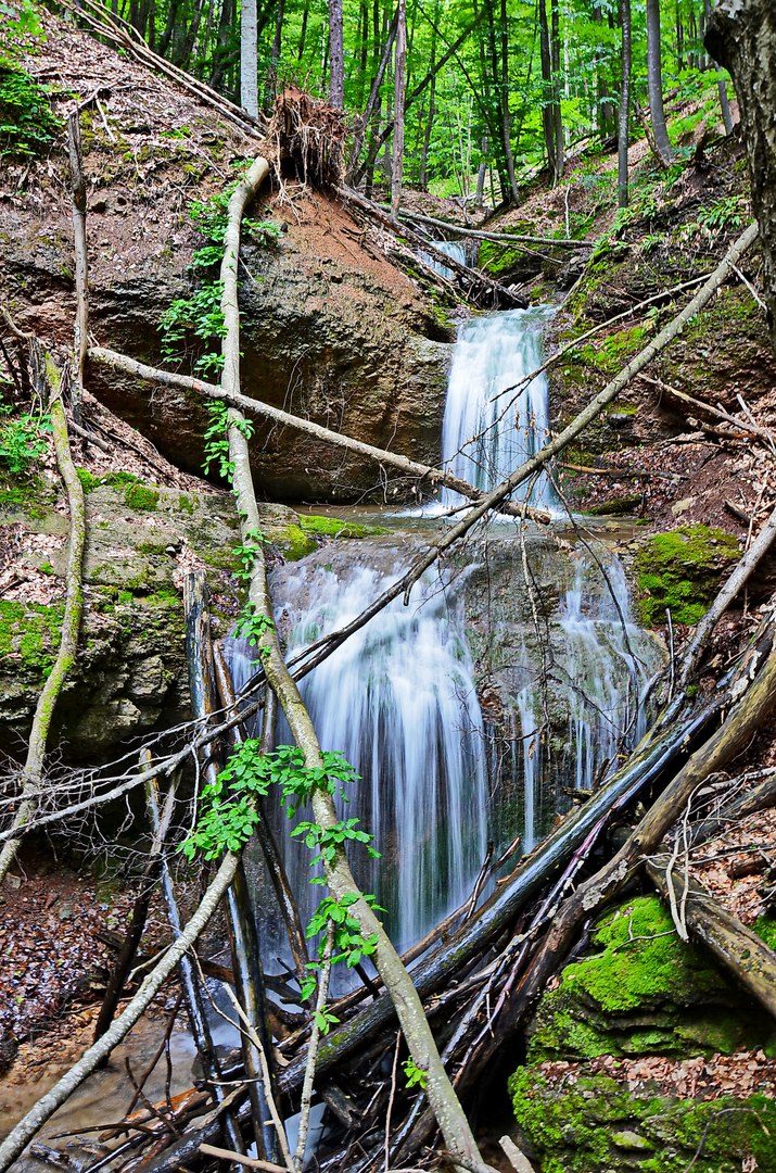 Чайная беседка