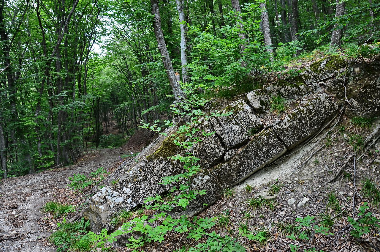 Чайная беседка