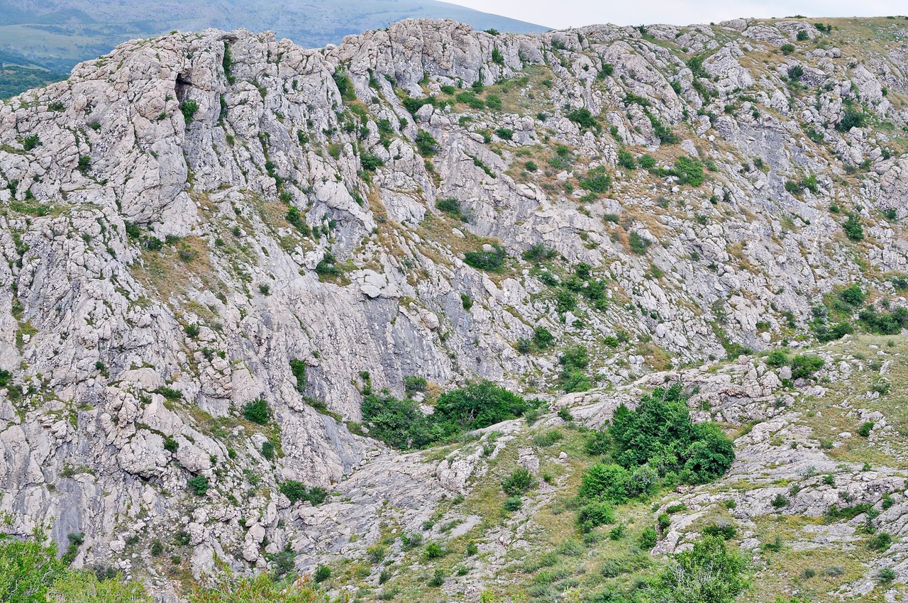 Чайная беседка