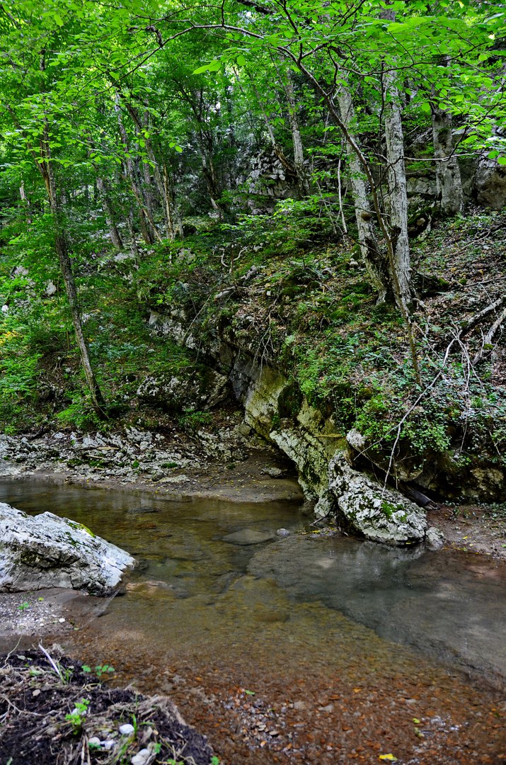 Чайная беседка