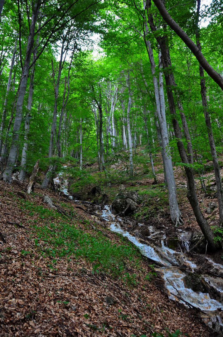 Чайная беседка