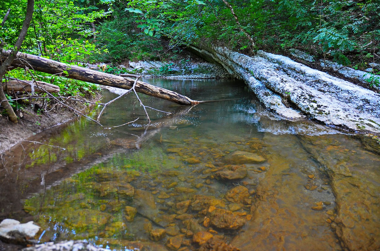 Чайная беседка