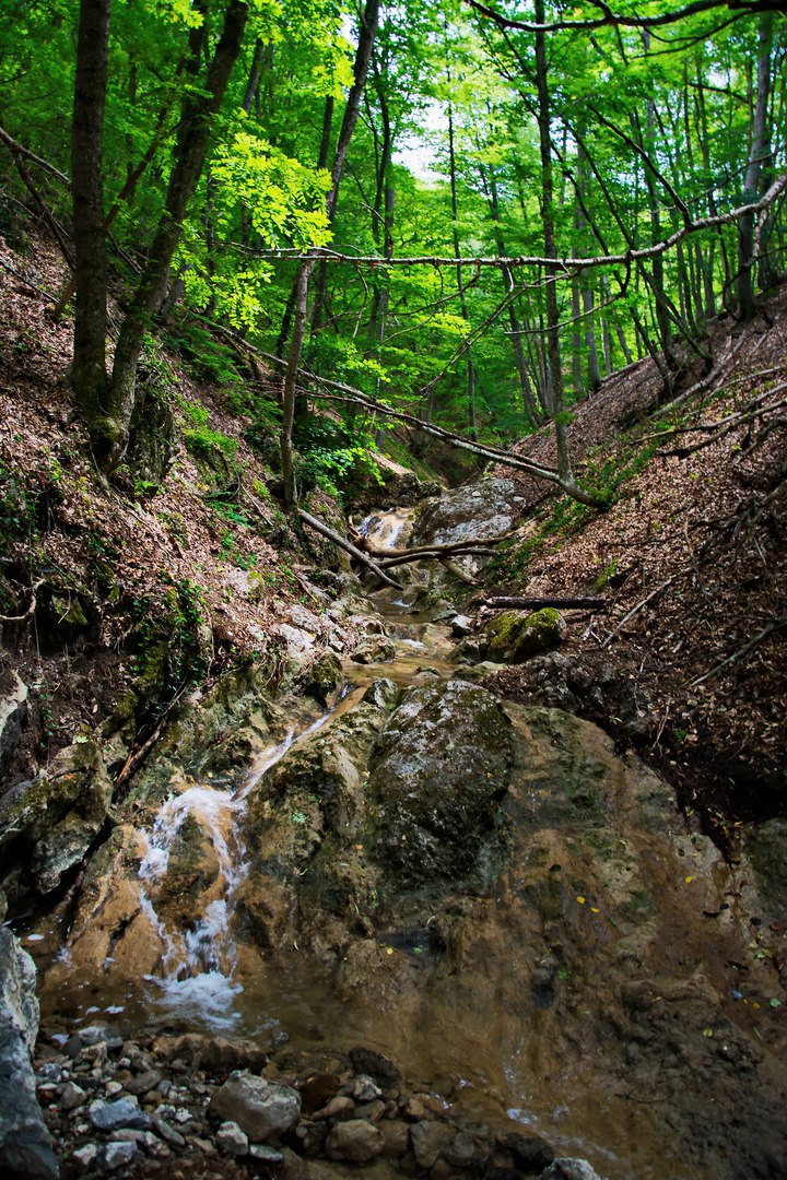 Чайная беседка