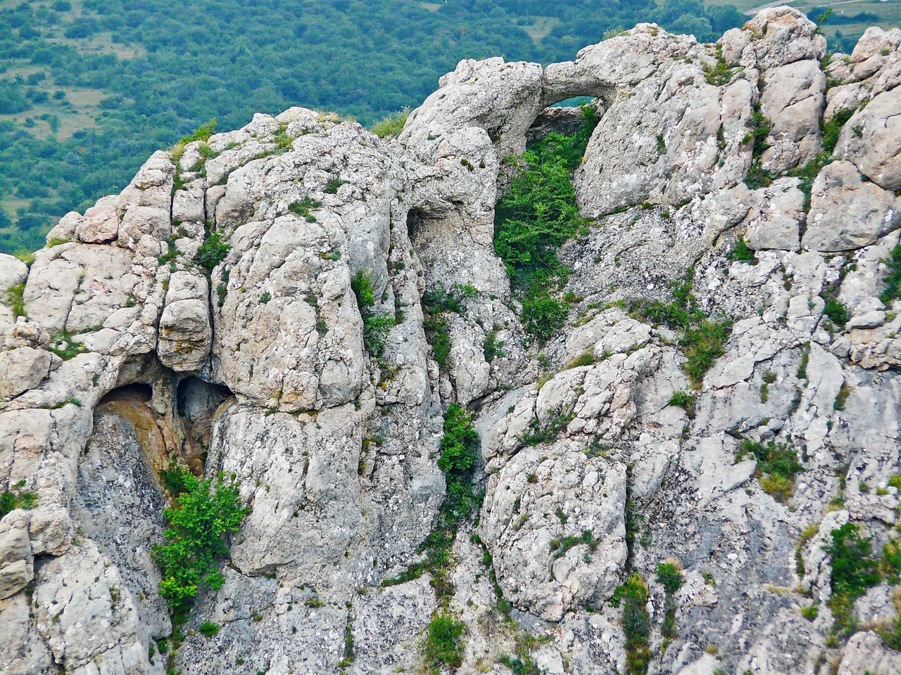 Чайная беседка