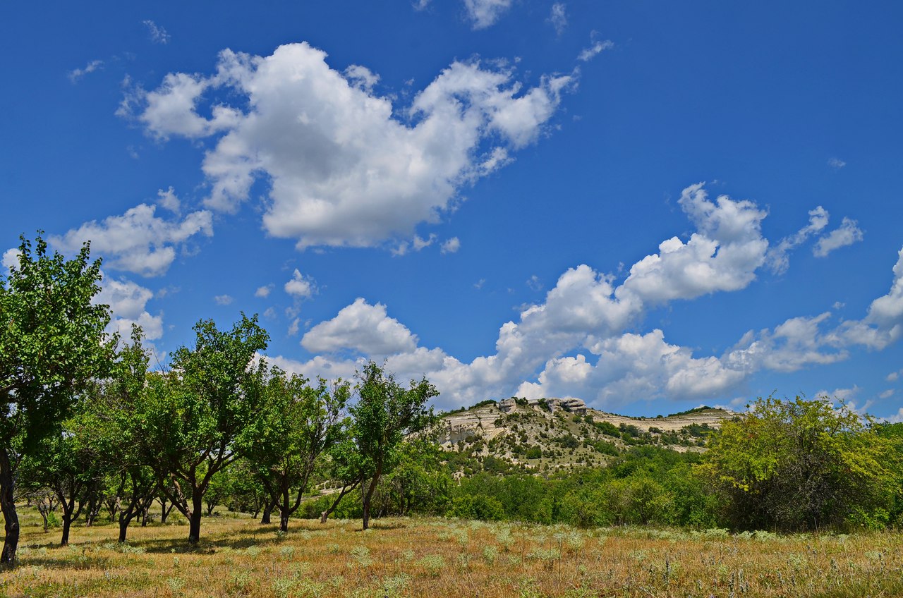 Чайная беседка