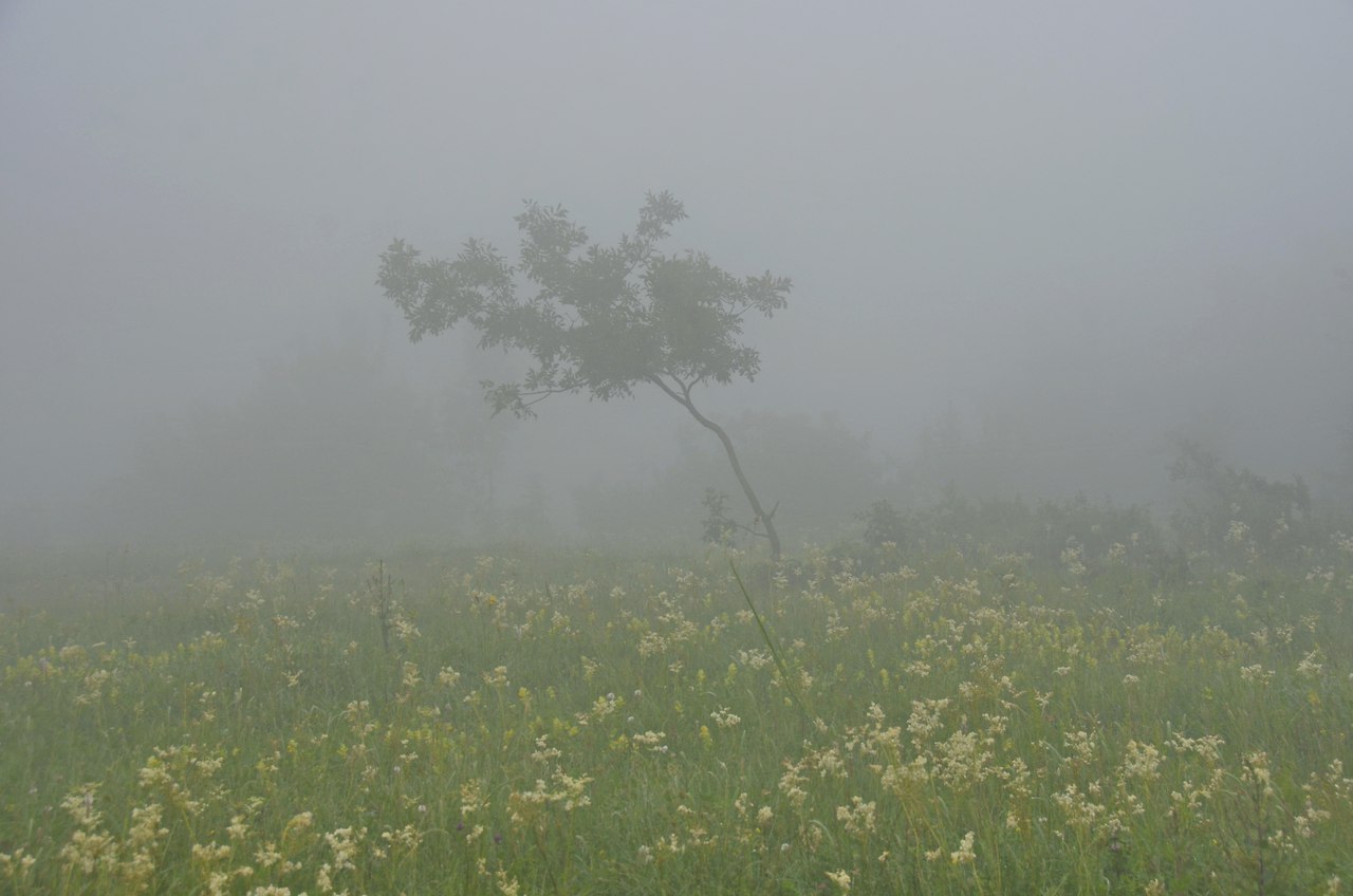 Чайная беседка