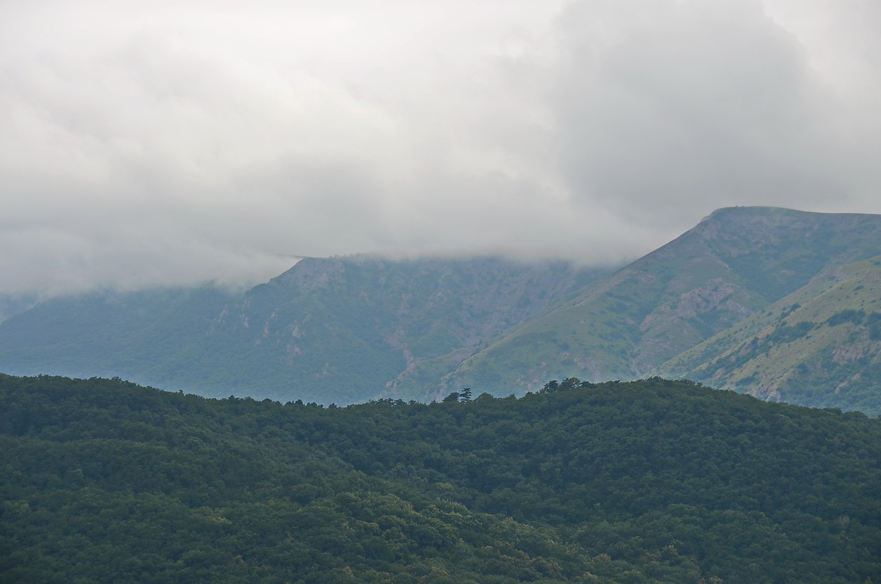 Чайная беседка