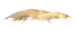 e46f0b60424134a4af358c5f0c071107.png